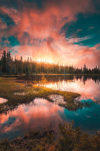 Load image into Gallery viewer, Dreams of Colour
