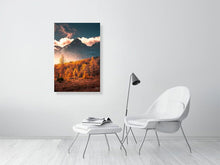 Load image into Gallery viewer, 5904098-1351488