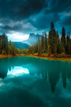 Load image into Gallery viewer, Serenity