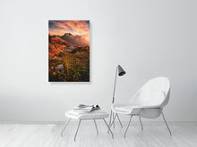 Load image into Gallery viewer, 5904067-1351683