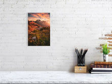 Load image into Gallery viewer, 5904067-1351681