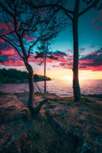 Load image into Gallery viewer, The End of Days