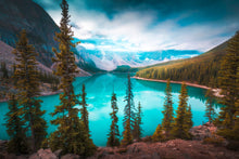 Load image into Gallery viewer, Seeking Calmness