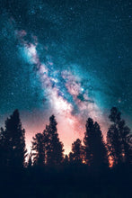 Load image into Gallery viewer, Rise Above