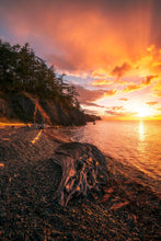 Load image into Gallery viewer, The Opening