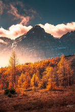 Load image into Gallery viewer, The Valley of Gold