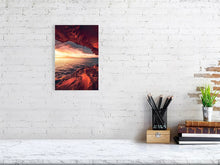 Load image into Gallery viewer, 5904134-1351518