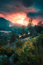 Load image into Gallery viewer, Roadside Perspectives