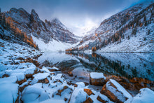 Load image into Gallery viewer, Flakes of Gold