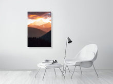 Load image into Gallery viewer, 5904079-1351675